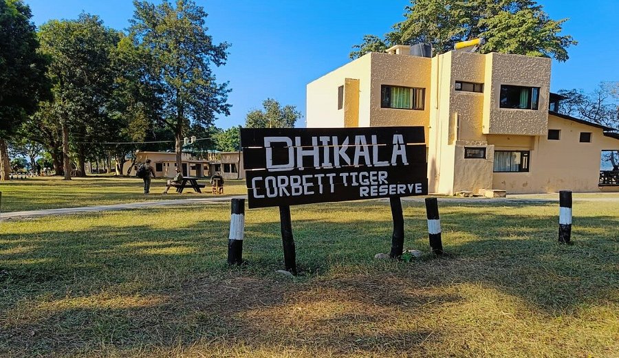 Dhikala Zone chaur grasslands, Jim Corbett