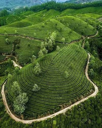 Terraced hills and mountain valley