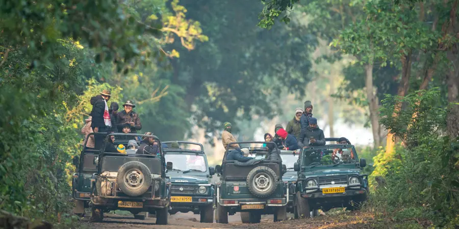 Delhi Weekend