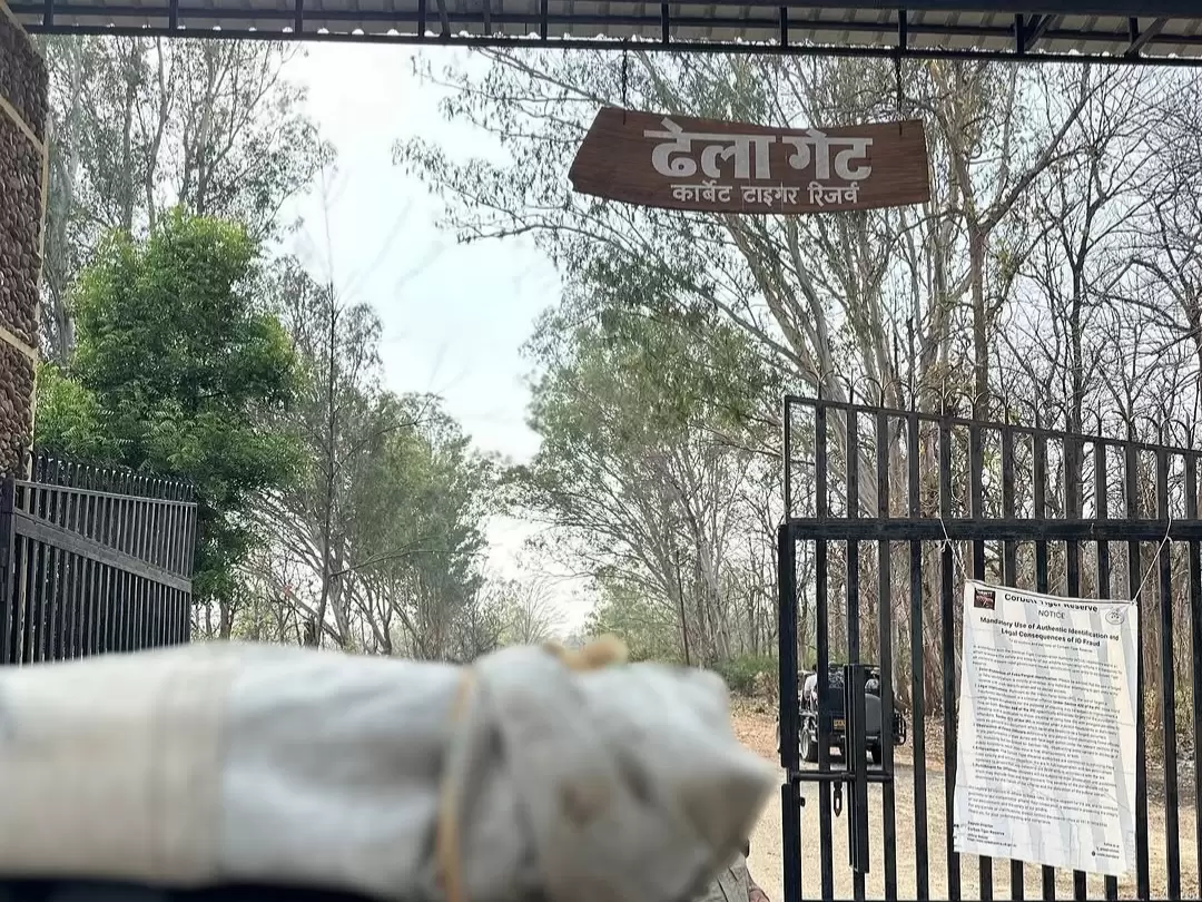 Dhela Zone — quiet buffer zone with Ramganga river