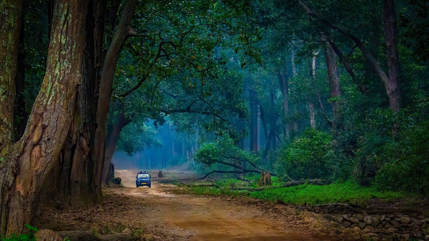 Dhikala Zone — Ramganga reservoir and sal forest