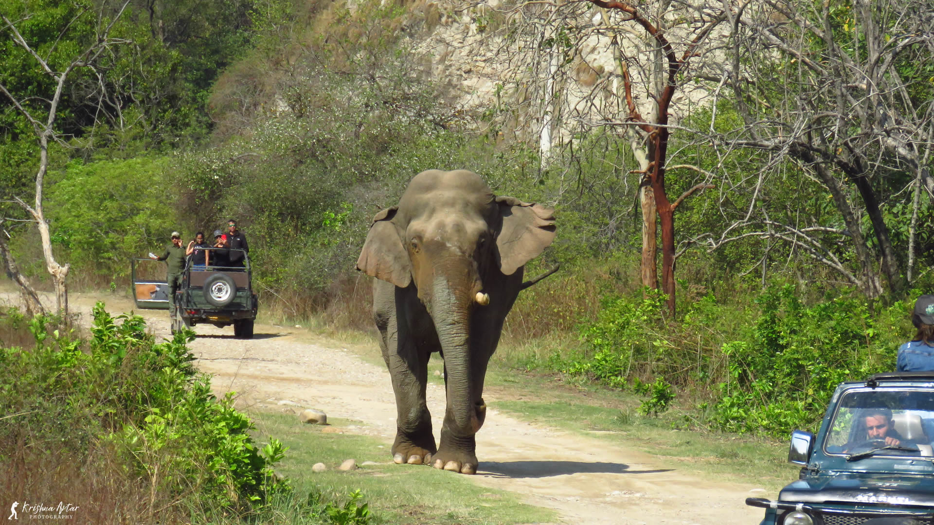 Jhirna Zone wilderness in Jim Corbett National Park