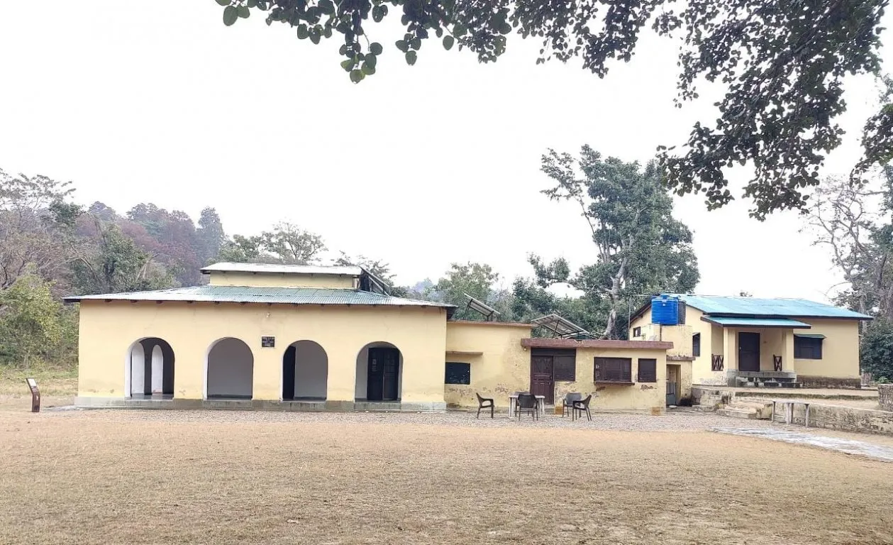 Jhirna Zone forest, Jim Corbett National Park